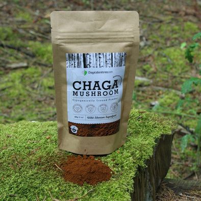 Cryogenically ground chaga powder. The superfood for healthy lifestyle