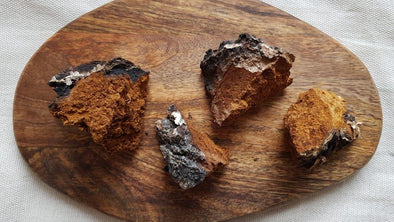 Facts about Chaga You Didn’t Know