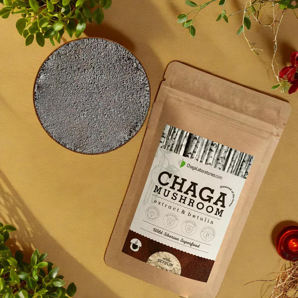 Wild Chaga Mushroom Extract with Betulin