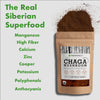 Chaga Cryogenically Ground Powder