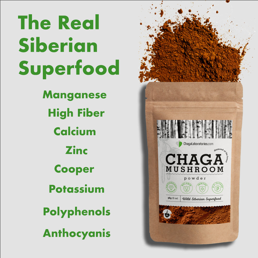 CHAGA POWDER – ChagaLaboratories