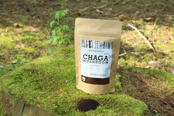 Wild Chaga Mushroom Extract